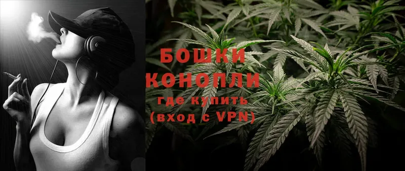 Марихуана OG Kush  Дивногорск 